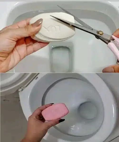 The Brilliant Trick of Using Soap in the Toilet for Easier Cleaning