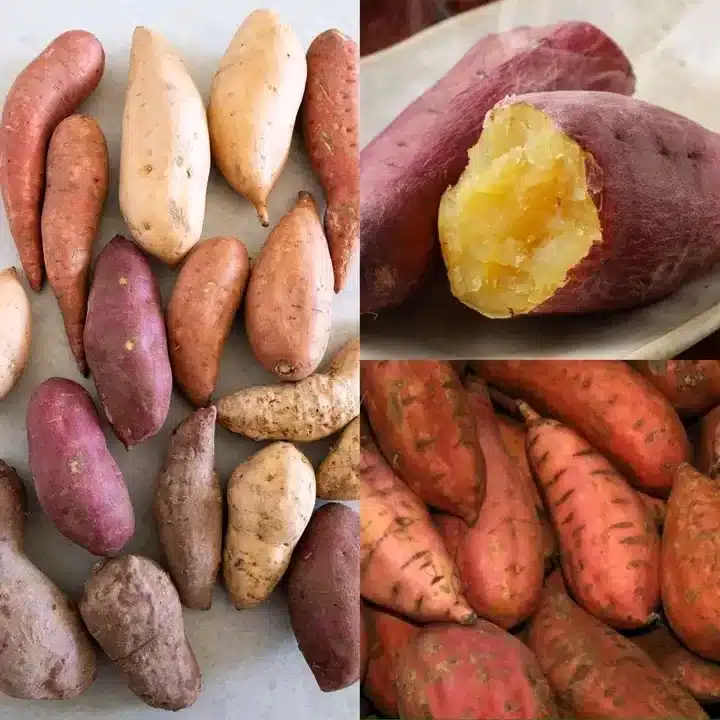 Discover the Magic of Sweet Potatoes: A Treasure in Your Kitchen!